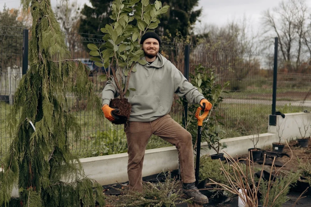 Gardener ландшафтний дизайнер, газон, садівник, садовий центр
